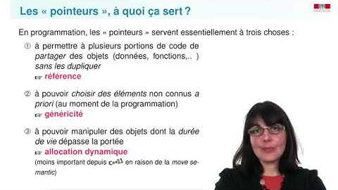 7   7   Pointeurs   allocation dynamique