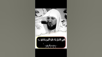 اللَّهُ نَزَّلَ أَحْسَنَ الْحَدِيثِ كِتَابًا مُّتَشَابِهًا مَّثَانِيَ  تلاوه ماهر المعيقلي