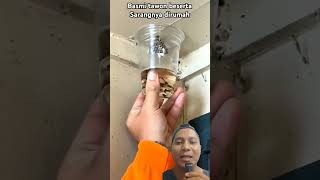 Download Lagu Cara ampuh basmi tawon yang bersarang dirumah #basmitawon #menghilangkansarangtawon MP3