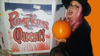 The Quest for a Pumpkin!