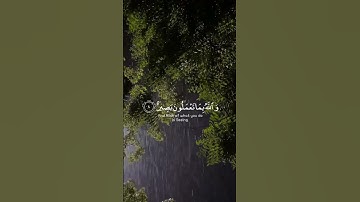 وهو معكم أينما كنتم ، سورة الحديد
