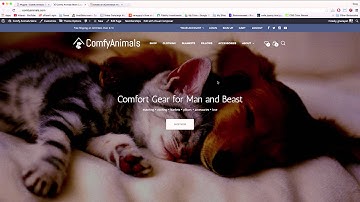 21) Showing Recent or Related Products - 2016