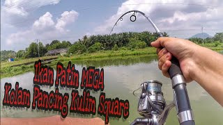 Memancing Ikan Patin di Kolam Pancing Kulim Square -- Gasak Patin Saiz Mega