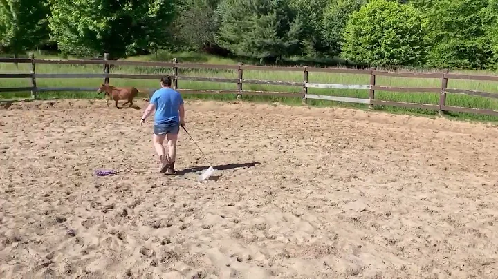 Libby doing Liberty - June 17th 22