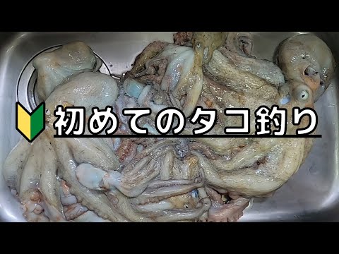 7月 天草のタコに挑む Youtube