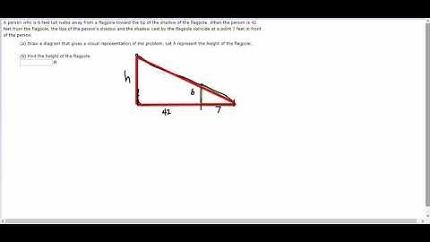 Linear word problem - using similar triangles to find the height of a flagpole