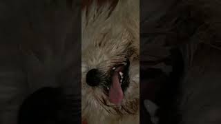 When U Get The Tomoe Rinnegan