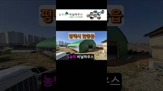 농막 비닐하우스 farmer&#39;s hut vinyl house (평택시 안중읍) #shorts