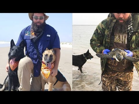 Video: Il cane aiuta a salvare la tartaruga marina in via di estinzione