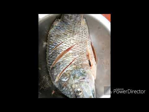 ปลาราดพริก(English)