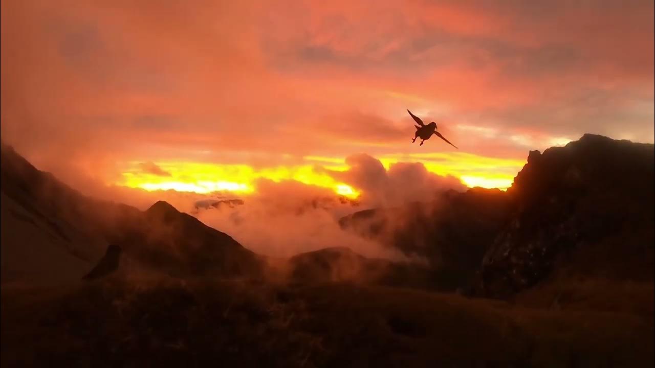 Lewis Pass Round Attempt YouTube