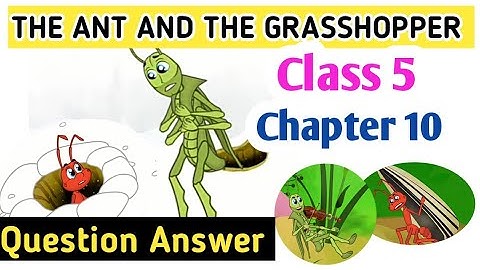 class 5 english chapter 10 questions answer bihar board | class 5 englishbihar board | class 5
