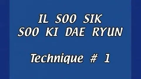 WTSD One-Steps - IL Soo Sik Soo Ki Dae Ryun