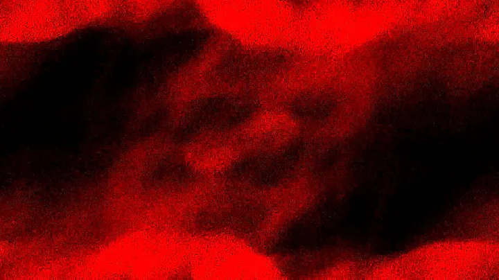 Lattice Gas Simulation