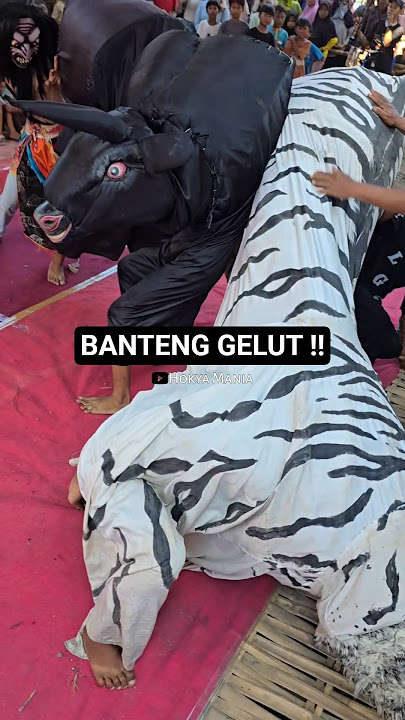 Banteng Macan Loreng Gunting #bantengan #bantengmacan #barongankendal
