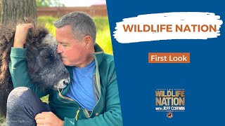 Watch Wildlife Nation with Jeff Corwin Trailer