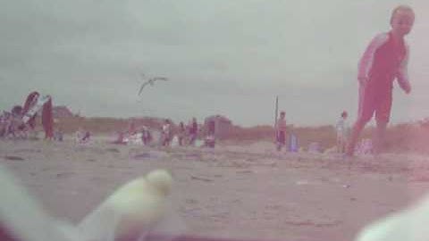 Rustler vxl beach bash