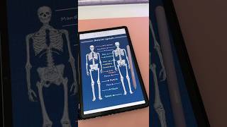 Digital Note Taking Penly App Aesthetic Digital Notes Samsung Galaxy Tab S9