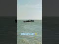 Lai DẠT Ge LÆ á I Sà Và O Cá A Lai DẠT Ge LÆ á I Sà Và O Cá A