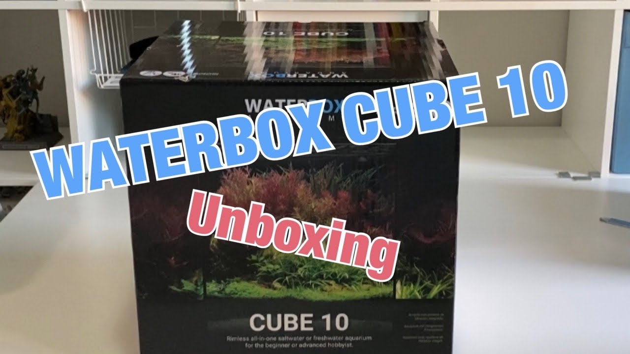 Waterbox Cube 10 Unboxing YouTube