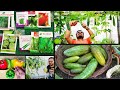 June July Vegetables You Can Grow In Pots | जून जुलाई में उगाइये ढेर सारी सब्जियां गमले में