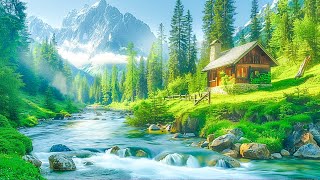Relaxing Music For Stress Relief, Anxiety and Depressive States • Heal Mind, Body and Soul #4