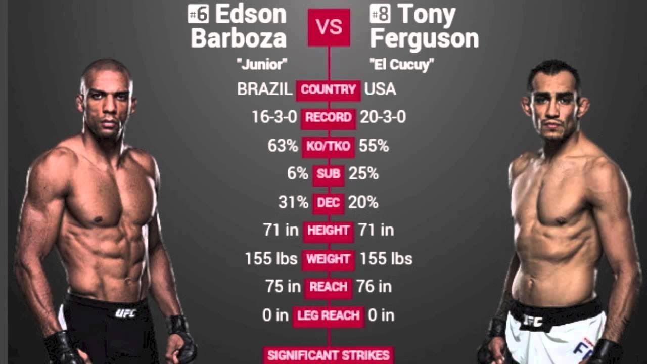 Барбоза наши проекты