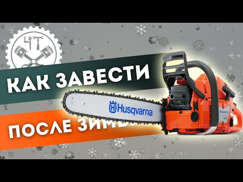 🔧 Как завести бензопилу после зимы