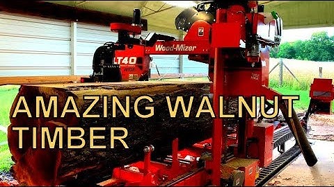 I WAS NOT EXPECTING WHAT I FOUND INSIDE THIS LOG, AMAZING WALNUT  ON THE SAWMILL