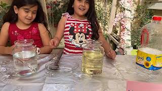 Manessa and Aleen science experiment