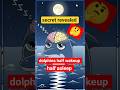 Dolphins Sleep With Half Their Brain! 🐬 | Weird Animal Facts #facts #animalfacts #ytshorts