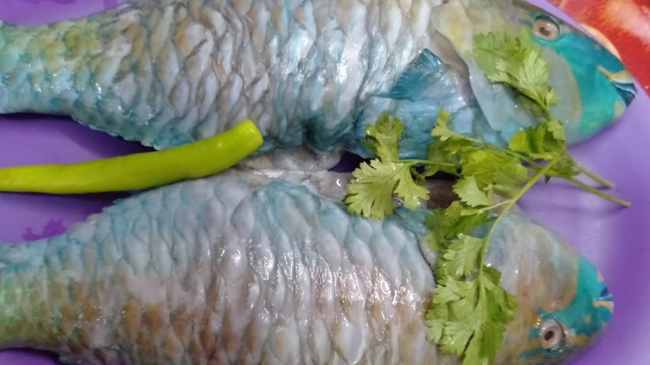 سمك البغبغان .صينيه في الفرن