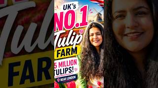 UK’s biggest tulip festival 🌷🇬🇧 #london #uktravel #spring #travel #tulips