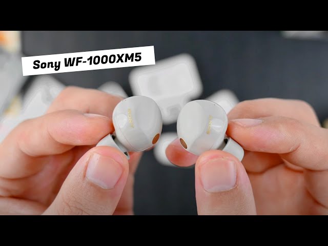 Review Sony WF1000XM5: Chạy bộ bám tai, chống ồn không đau đầu, chất âm khỏi bàn