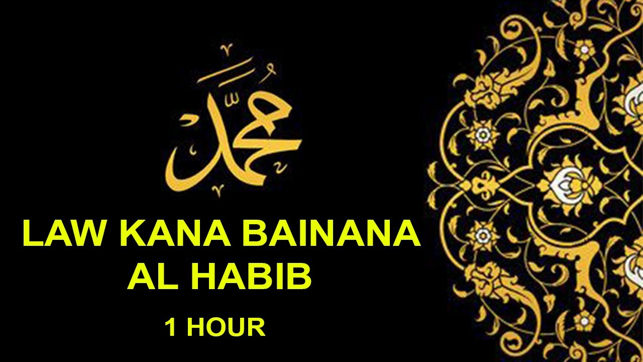 Law Kana Bainana Al Habib [1 hour version] | (Malaysia)