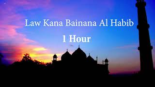 Law Kana Bainana Al Habib [1 hour version] | (Malaysia)