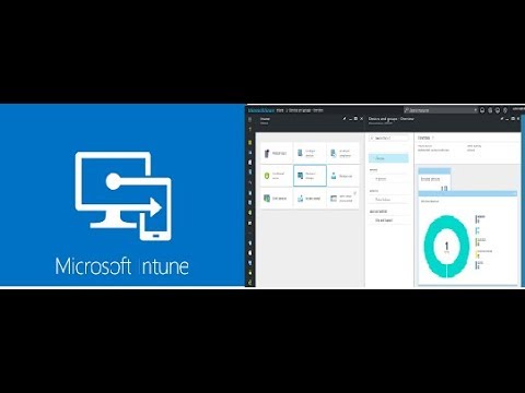 #IntuneNugget 2- Setting up the Intune Portal     |Level 100