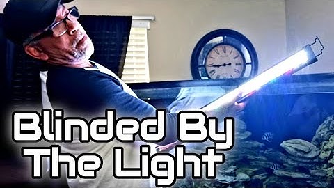 HYGGER LED LIGHT REVIEW