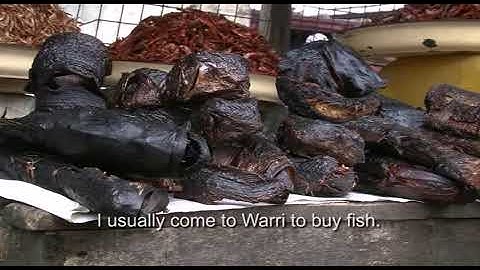 VALUE CHAIN ANALYSIS FILM video