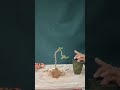 Making a micro bonsai.