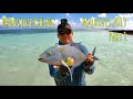 Bluefin Trevally Fly Fishing Maldives 2019