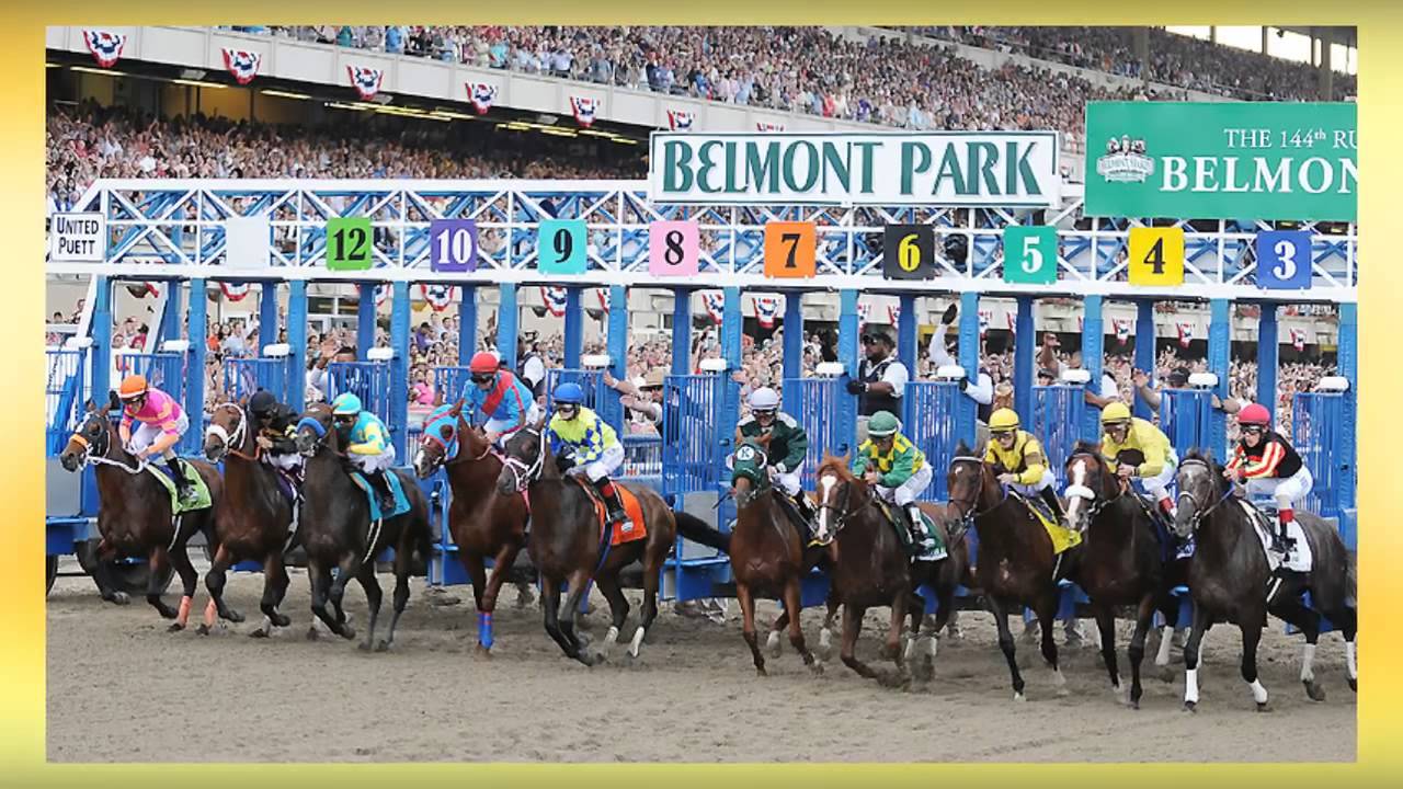 Sean Buckley - Top 10 Thoroughbred Horse Races in the World! - YouTube