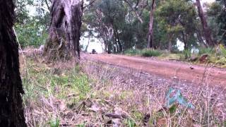 Honda 250Cc Sprint Car Drifty