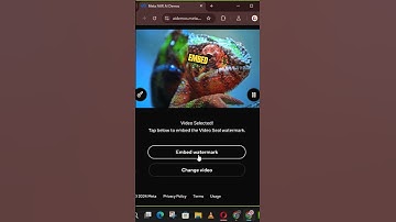 This Tool Adds Invisible Watermarks to Videos! 💡 #VideoSecurity #TechTips #YouTubeShorts #TechTips