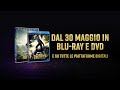 Black Panther - Dal 30 Maggio in Blu-Ray, DVD e su tutte le piattaforme digitali