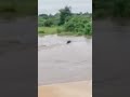 Kapoche River Of Sinda District Zambia Kapoche River Of Sinda District Zambia