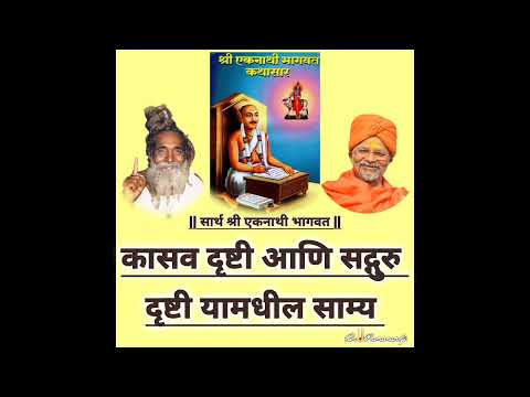 कासवाचे आश्चर्य? सद्गुरूंची दृष्टी आणि कासवाची दृष्टी यामध्ये साम्य काय? #krishna #tortoise #god