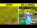 HOW TO CREATE A GARDEN FROM SCRATCH