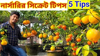 অল্প যত্নে বেশি ফল পাবার সহজ 5টি টিপস। 5 tips for all plants in your rooftop garden / heavy fruiting