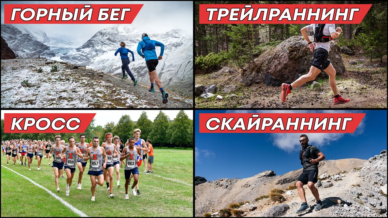 Терминология кросс-бега